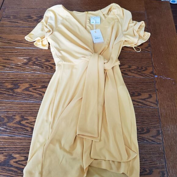 NWT C/MEO Recollect Mini Dress in Honey Sz small - Picture 3 of 6